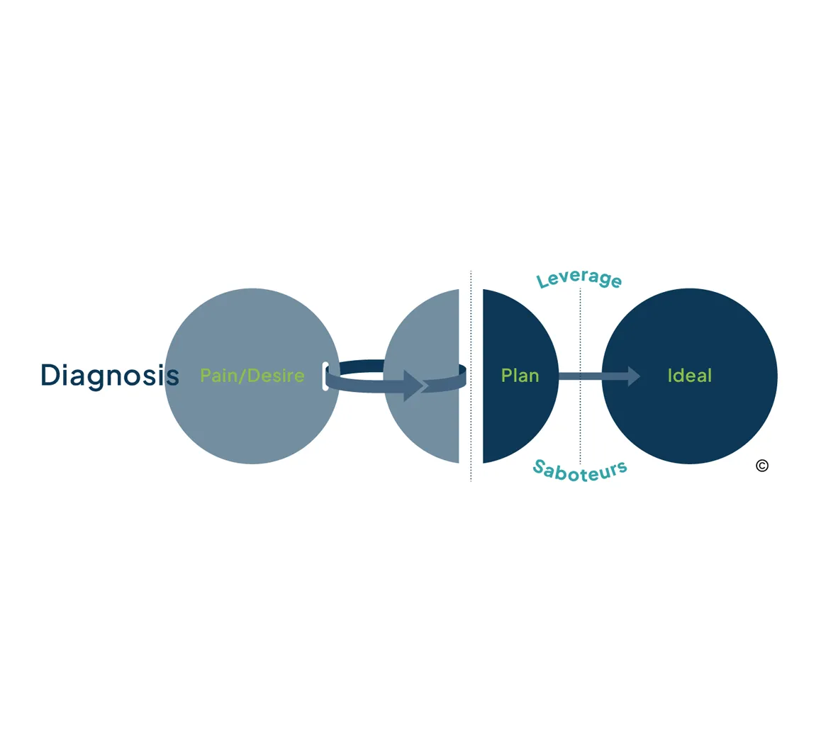 Three Circles Model®
